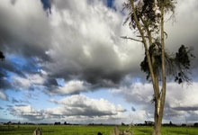 KAIYUN:费兰本赛季每82分钟打进1球,为巴萨队内效率最高.