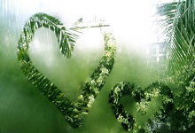 本赛季投中246记三分!怀特刷新凯尔特人队史新纪录.